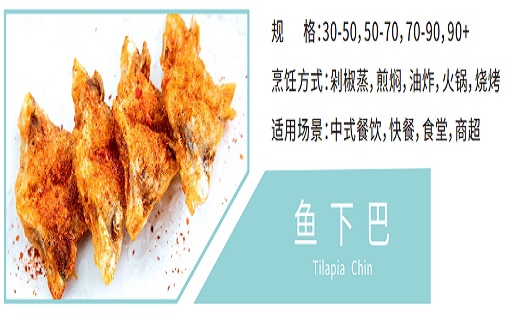 Tilapia Chin